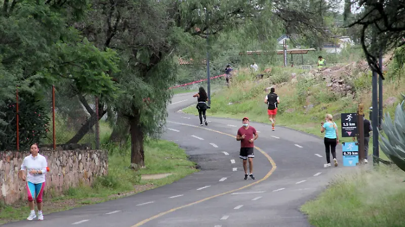 Visitantes Metropolitano - Francisco Meza
